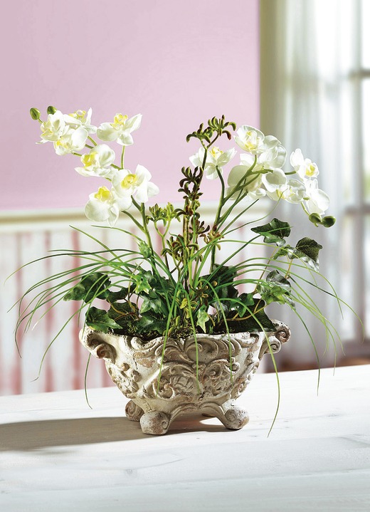 Woonaccessoires - Orchidee arrangement in een kleipot, in Farbe