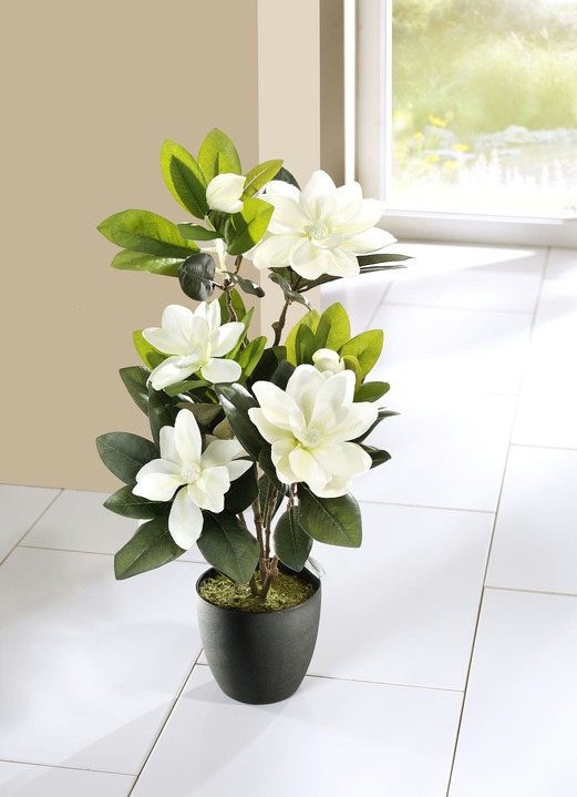 Woonaccessoires - Magnolia‘s in een pot, in Farbe GROEN-WIT